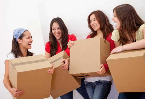 Senior review of an unresolved removals concern